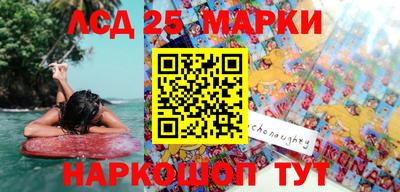 шишки Брянск