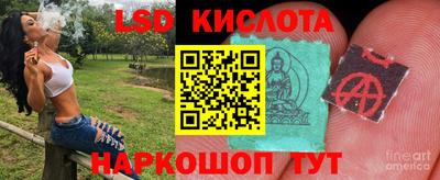 шишки Брянск
