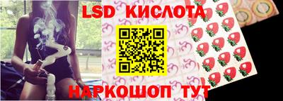 шишки Брянск