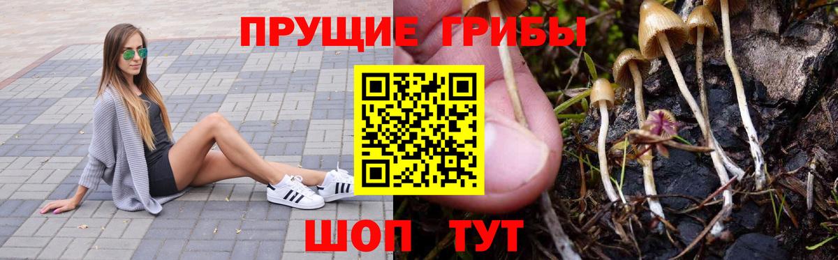 Галлюциногенные грибы Magic Shrooms  Вход с VPN  Вичуга 